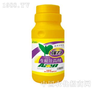 G-焩500ml