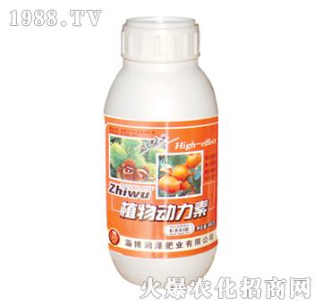 ֲ(dng)500ml-(rn)ɷʘI(y)