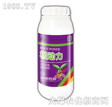 1000ml(dng)-{RʘI(y)