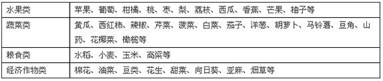 馳力爾基施鋅-歐力爾2