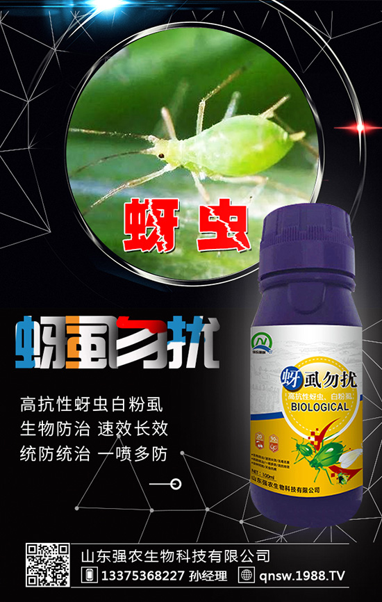 草莓葉干枯原因 草莓葉干枯的解決方法