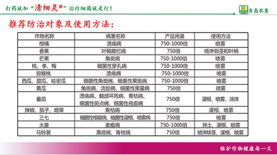     熒光假單胞桿菌（1000g）-清細靈-農(nóng)墾