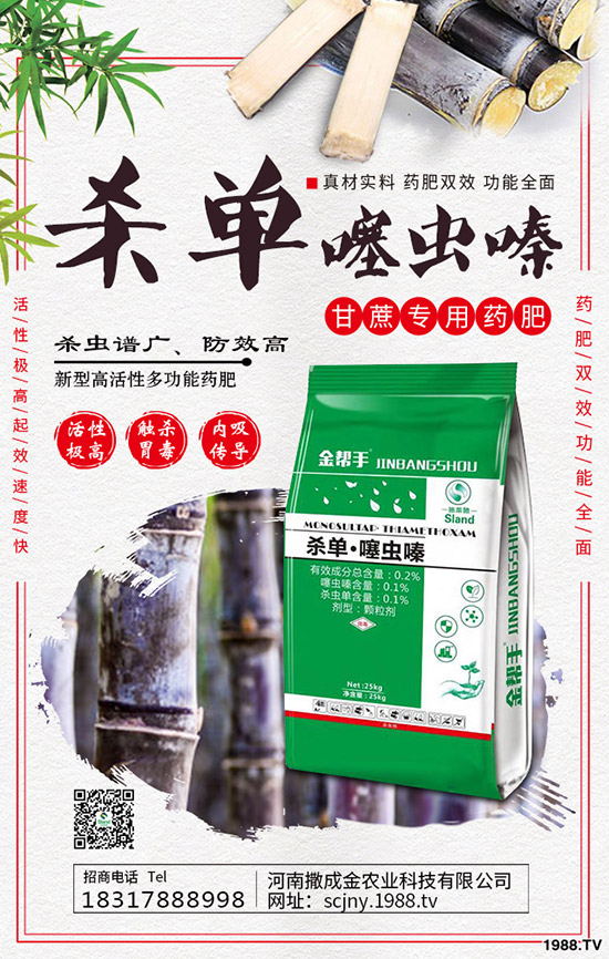 芹菜得了菌核病怎么辦？棚栽芹菜菌核病如何防治？