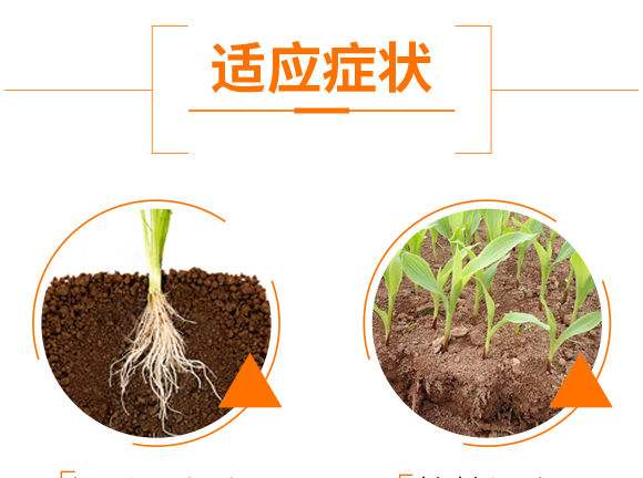 黑鉆·磷鉀晶-諾爾_06