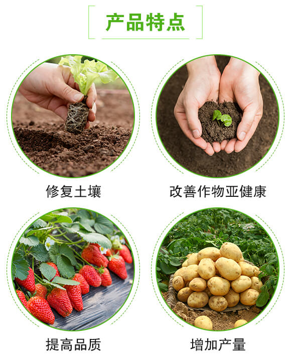 枯草芽孢桿菌-根線終結(jié)-聯(lián)邦嘉吉_04