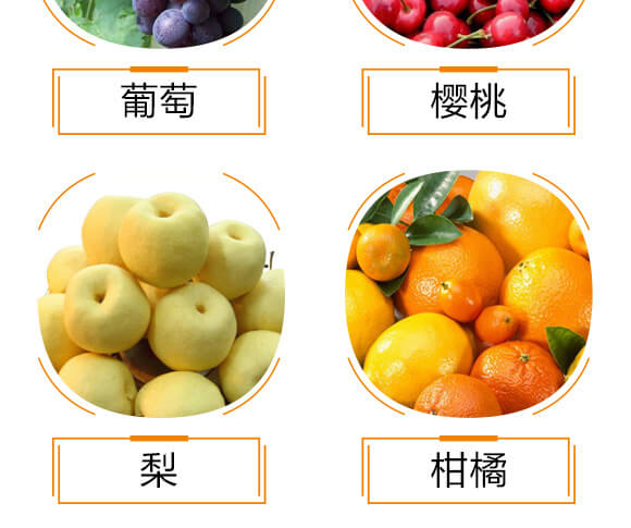 光合細(xì)菌菌劑-光合菌-華太隆-中農(nóng)化_07