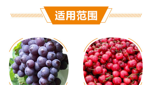 光合細(xì)菌菌劑-光合菌-華太隆-中農(nóng)化_06