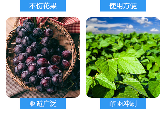 安徽耕耘樂生物科技有限公司產(chǎn)品詳情頁1_05