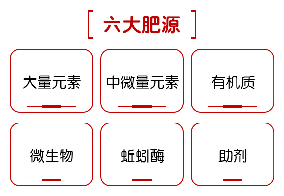 廣西新啟力生態(tài)科技有限公司產(chǎn)品詳情頁3_05