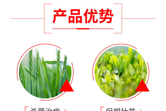 袋裝防病增產(chǎn)技術(shù)套餐-多美豐-爵利_05