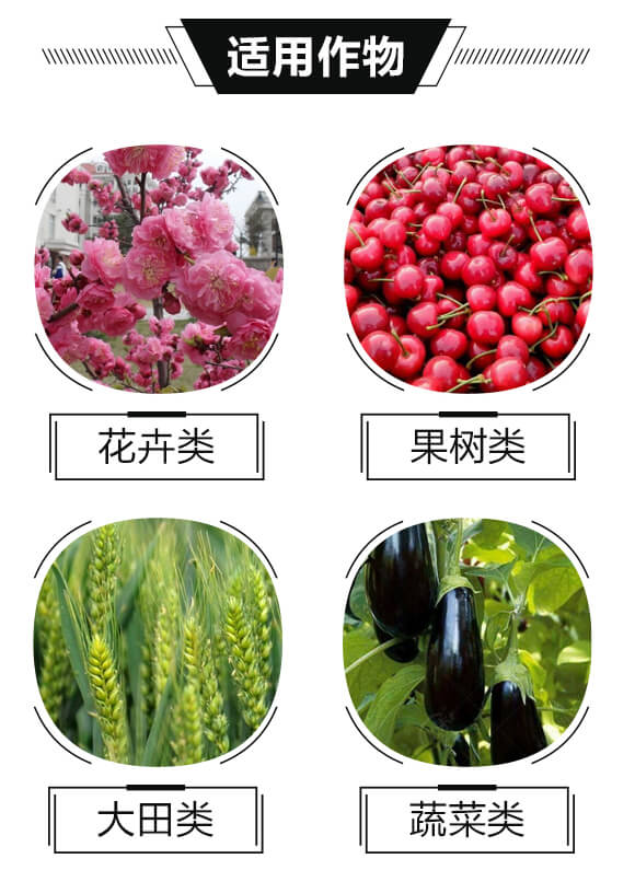 植物潛能激活器-藍(lán)牌-碧斯特_05