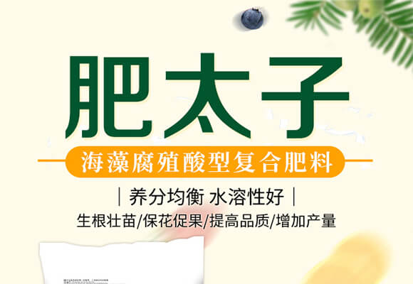 海藻腐殖酸型復合肥料18-18-18+TE-肥太子_01