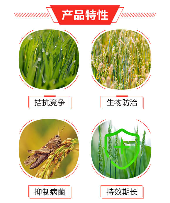 15g枯草芽孢桿菌-寶豐農(nóng)藥_03