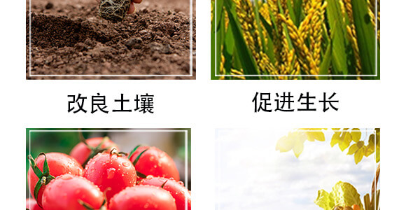 旱可豐（抗旱保水控釋生態(tài)肥+植物營(yíng)養(yǎng)餐）_05