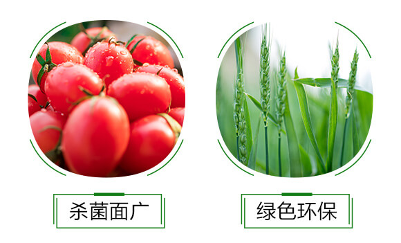 細(xì)菌速殺藥肥-聚維碘-晨茂農(nóng)業(yè)_07