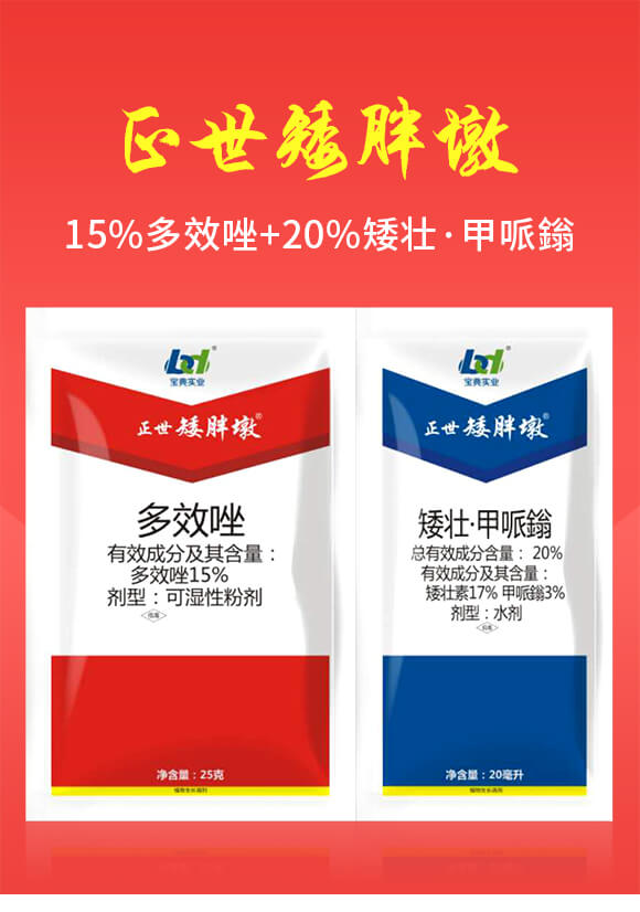 15%多效唑+20%矮壯·甲哌鎓-正世矮胖墩-寶典實業(yè)_01