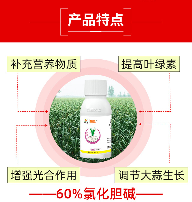 60%氯化膽堿-肥歌_04