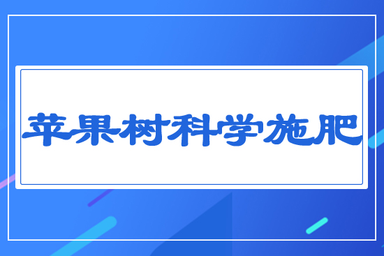 蘋果樹科學施肥