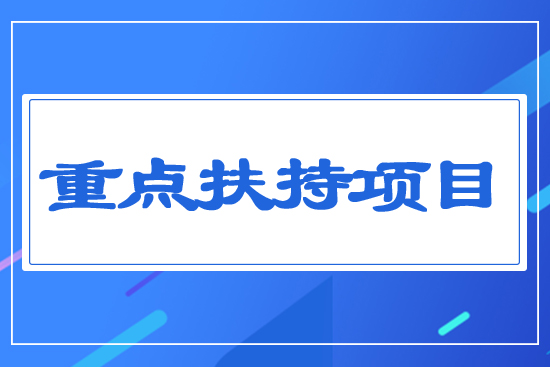 重點(diǎn)扶持項(xiàng)目