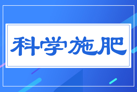 科學(xué)施肥