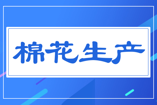 棉花生產(chǎn)