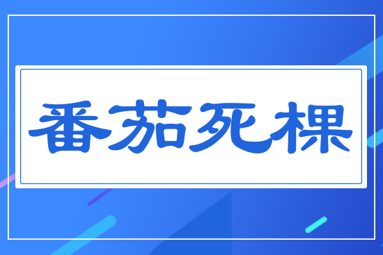 番茄死棵