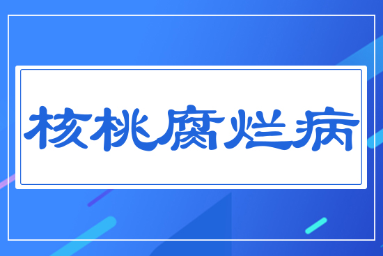 核桃腐爛病