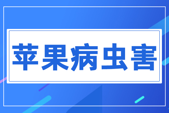 蘋(píng)果病蟲(chóng)害