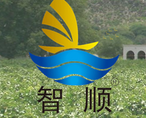 山東智順進出口有限公司