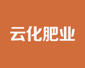 孟州云化肥業(yè)有限公司