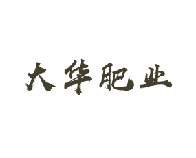 廣西大華肥業(yè)有限公司