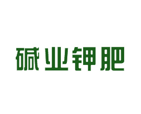 青島堿業(yè)鉀肥科技有限公司