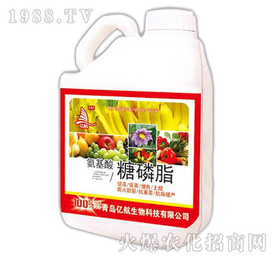 氨基酸糖磷脂5kg-億航生物