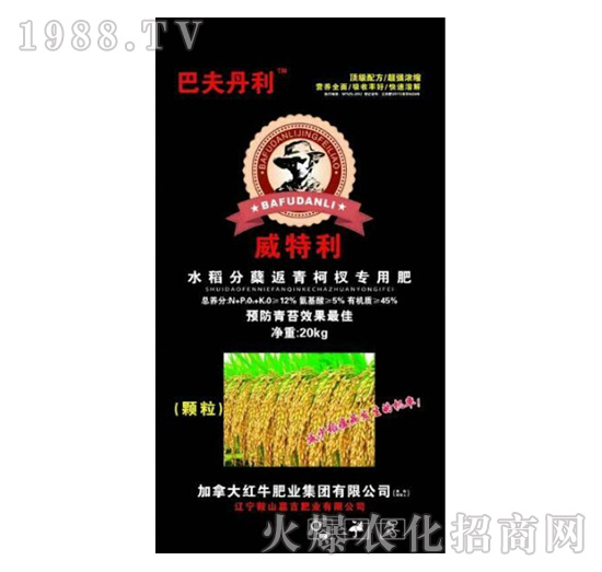 20kg水稻分蘗返青柯杈專用肥-威特利-嘉吉肥業(yè)