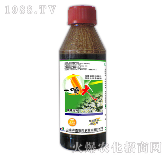 一噴大菊花專用500ml-賽陽