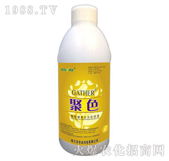 ɫ-ֲ｡LMҺ1000ml-m