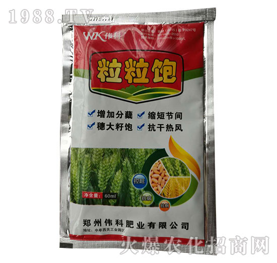 粒粒飽-小麥專用葉面肥-偉科肥業(yè)