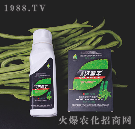 豆角專(zhuān)用氨基松脂菌露母液葉面肥-沃普豐