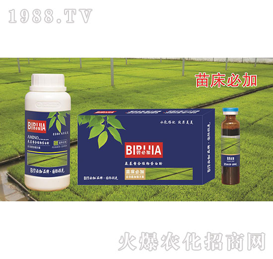 苗床必加-氨基螯合植物蛋白酚-鑫禾