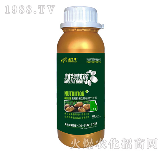 土豆型-植物核能300ml-星之緣