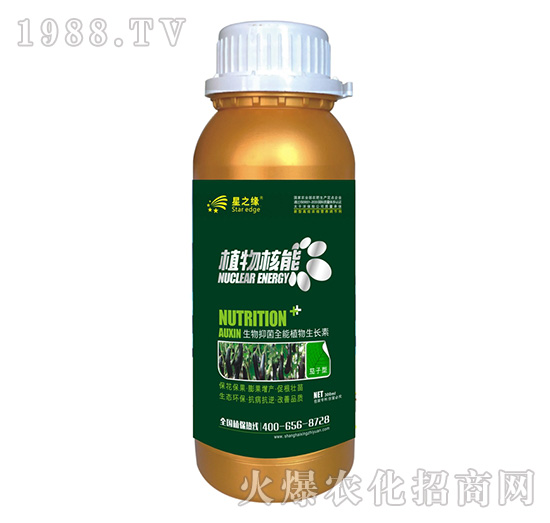 茄子型-植物核能300ml-星之緣