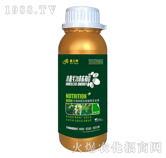 金銀花型-植物核能300ml-星之緣