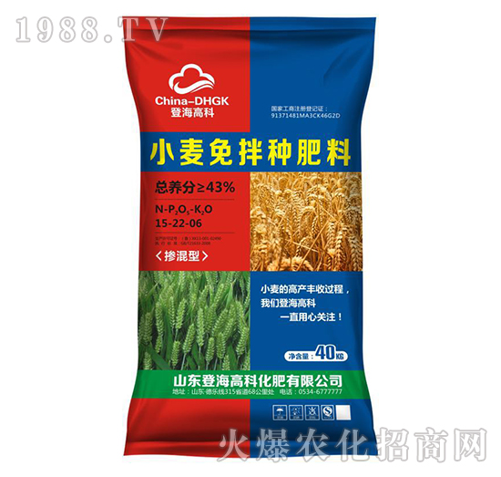 小麥免拌種肥料15-22-6-登海高科