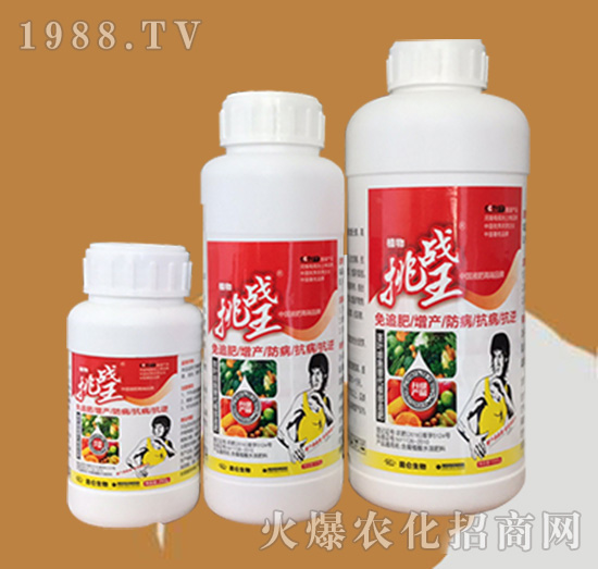 植物挑戰(zhàn)王高效液肥（瓶）-昆侖生物