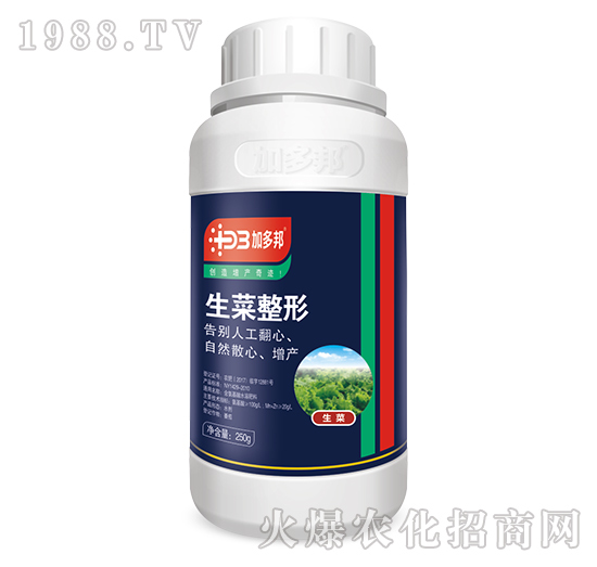 生菜整形含氨基水溶肥料-加多邦