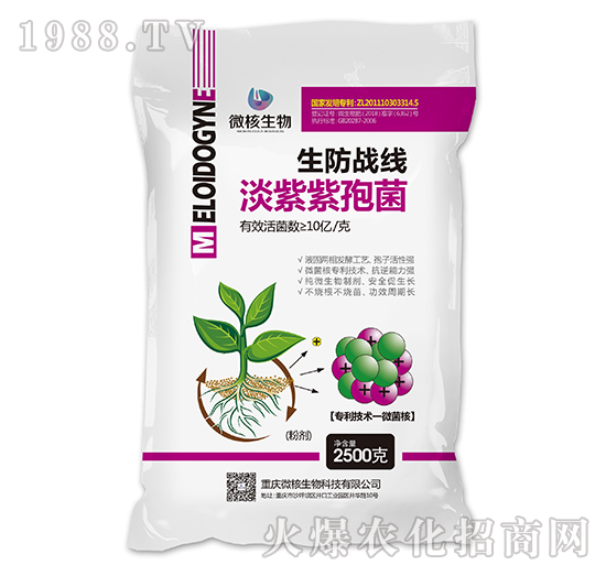 淡紫紫孢菌-生防戰(zhàn)區(qū)粉劑-微核生物