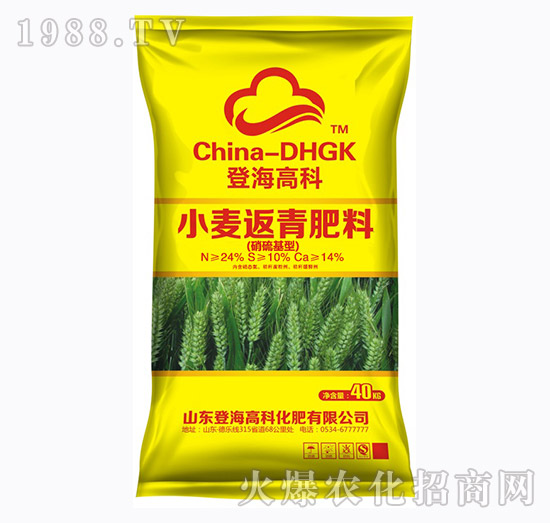 硝硫基型-小麥返青肥料-登海高科