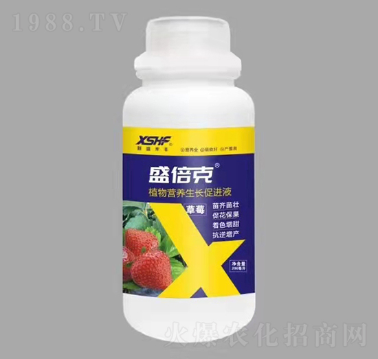 草莓專用植物營養(yǎng)生長促進(jìn)液-盛倍克-新盛禾豐