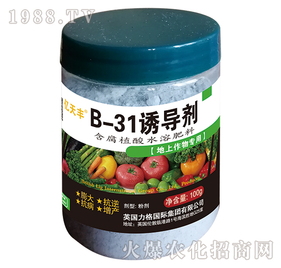 B-31誘導(dǎo)劑-億夭豐-力格國(guó)際