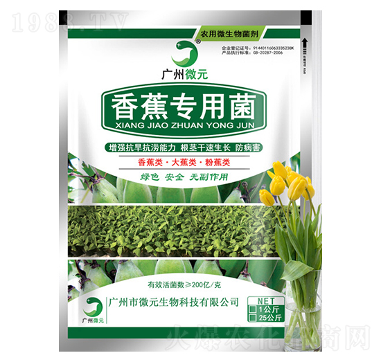 香蕉專(zhuān)用菌-微元生物